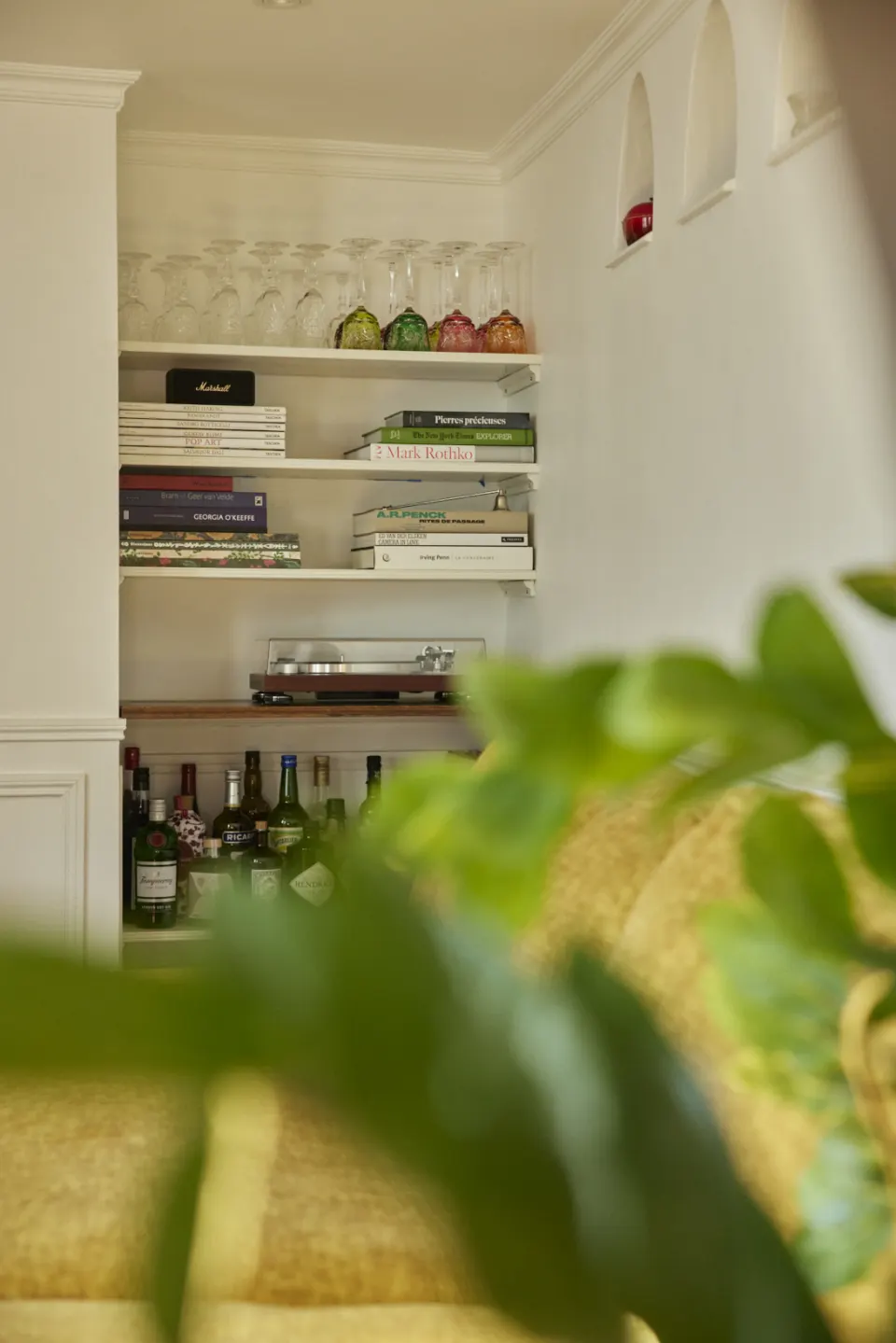 Bookcase and bar behind blurred foliage